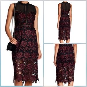 Romeo and Juliet Coutoure Lace Dress